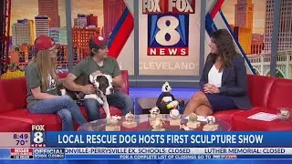 Local rescue dog sculpts unique baseball works of art