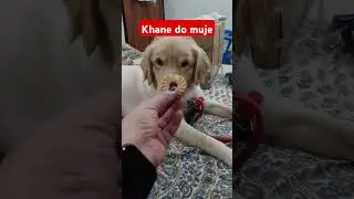 Cute Bruno 😍 ‎