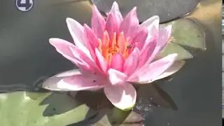 26.07.18 Истории в деталях