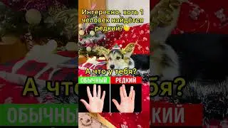 СМЕШНЫЕ ЖИВОТНЫЕ | интересно, хоть 1 человек найдётся редкий? 🧐