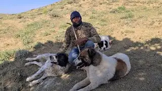 Хасан и его крутая Банда!