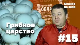 Царство грибов в Лаишевском районе | Бизнес на селе #15