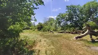 Продаётся участок у реки Кубань. Пос. Тлюстенхабль.