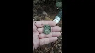 Коп по местам Первой Мировой Войны . Разведка .