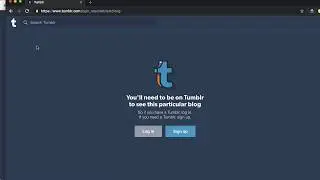 Tumblr Settings for Blog Visibility
