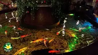 Want DEEP Sleep? Watch This Soothing Water Video Now