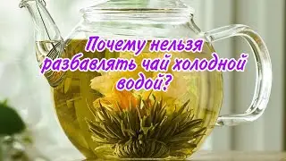 Почему нельзя разбавлять чай холодной водой.