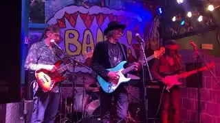 Little Wing (Live) - Leon Hendrix & Fulvio Feliçiano Band
