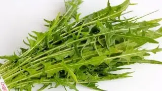 Dandelion Greens 101 | how to cook dandelion greens