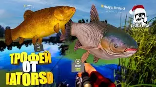 Русская рыбалка 4. 🎣 🐳ТРОФЕЙ от LATORSO, ГДЕ и на ЧТО...👀