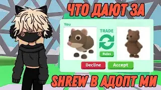ЧТО ДАЮТ ЗА  SHREW В АДОПТ МИ ТРЕЙДЫ НА SHREW  В АДОПТ МИ