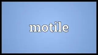 Motile Meaning