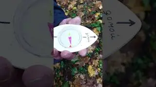 Зачем Компас Грибника?🤔👍😊🤝