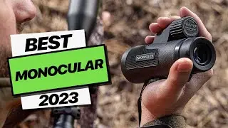 Best Monoculars for Wildlife Spotting and Birdwatching in 2023