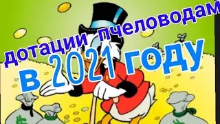 Дотации пчеловодам в 2021 году. Что надо чтоб получить дотацию на пчел? Помощь пчеловодам.