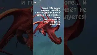 Хочешь быть в курсе всех новостей и интересных материалов? Подпишись @ValeryTikhomirov