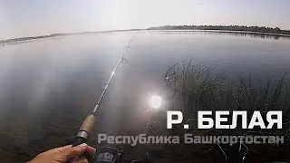 РЫБАЛКА НА РЕКЕ БЕЛАЯ/ Щука, судаки и берш/ Рабочие приманки (и не очень)