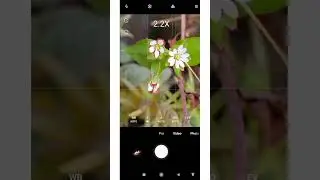 How to get DSLR Like background blurred photos with a normal mobile phone camera | 