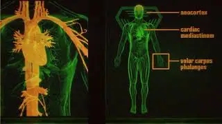 System Shock 2 - SHTUP texture mod + Texture Upscale