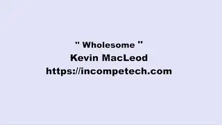 Kevin MacLeod ~ Wholesome