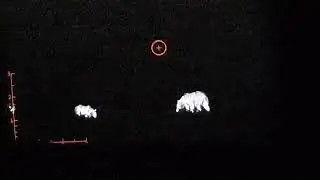 Охота на Кабана ( вышли три МЕДВЕДЯ)