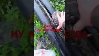 работа Подмосковного ЖКХ хотели как лучше, получилось как всегда! 