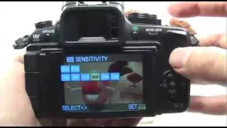 Panasonic G1/GH1: Night Portrait