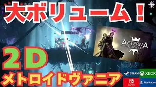王道２Dメトロイドヴァニアがコスパ高くて満足！【エテルナノクティス】PC/Switch/PS/Xbox