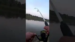 Рыбалка на птичьем УТЁСЕ. Осётр. Неожиданная встреча с КРАСНОЙ РЫБОЙ. 