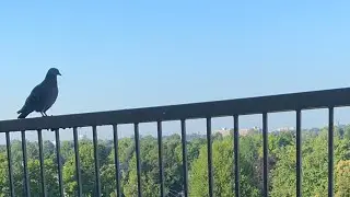 Good morning 💕🤩🇨🇦 A-NATH-ing Under The Sun is live!