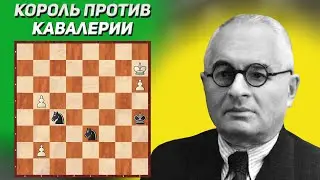 Король против кавалерии. Шахматный этюд. Моисей Нейман. Издание Шахматный листок, 1927 год. Шахматы.
