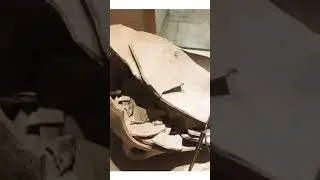 Это случилось в музее Хехта в Хайфе….