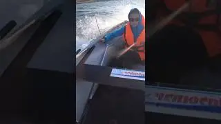 ПРИСТЕГНИТЕ РЕМНИ!!! #shorts #рыбалка #fishing #рыбалка2024 #байкал