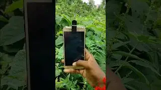 😳 Amazing photography with just old mobile 🔥 / Bibhas Majhi #youtubeshorts #shorts #short