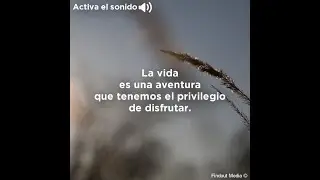 Reflexiones de la vida que cambiarán tu mentalidad