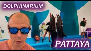 Паттайя. Дельфинарий. Таиланд.