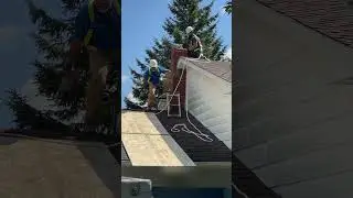 Am I Crazy for Live Streaming My Renovation? #diy #homeimprovement