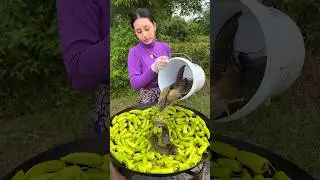 Fish stir-fry cook recipe 