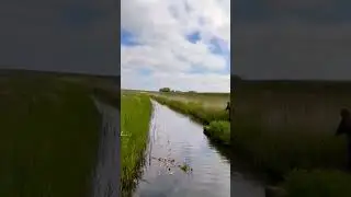 Где то на просторах Германии, улов в кастинговую сеть от СибКаст