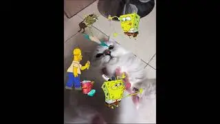 таааак это что такое