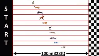 Speed Comparison : Race Simulation