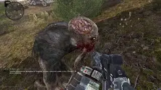 S.T.A.L.K.E.R.//A.N.O.M.A.L.Y. ➤ HOTFIX # Дрю часть ➤ 6 серия