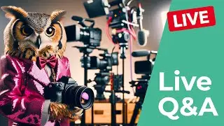 🔴 Live Q&A! Answering your questions about livestreaming! Suberb Owl edition!