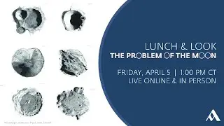 The Problem of the Moon  |  Lunch & Look