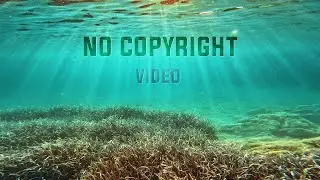 Underwater background | Copyright free