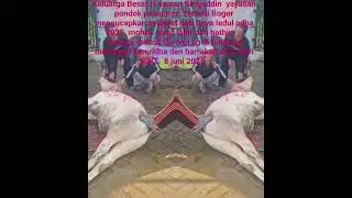 Woman slaughter chickens sheep goat rabbit camel pig pigeon