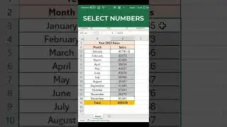 Convert to Currency Format on Excel (easy Task for beginners!) 