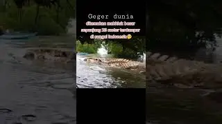 ha? video aneh yang menghobahkan dunia kok bisa. 