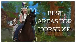 Best Area's For Training Your Horses! | Star Stable Online