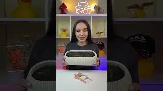 Фараонова  змея 😱 